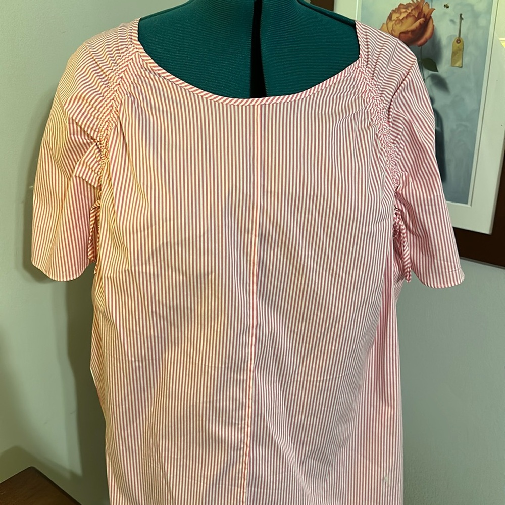 Sejour Pink Striped Blouse